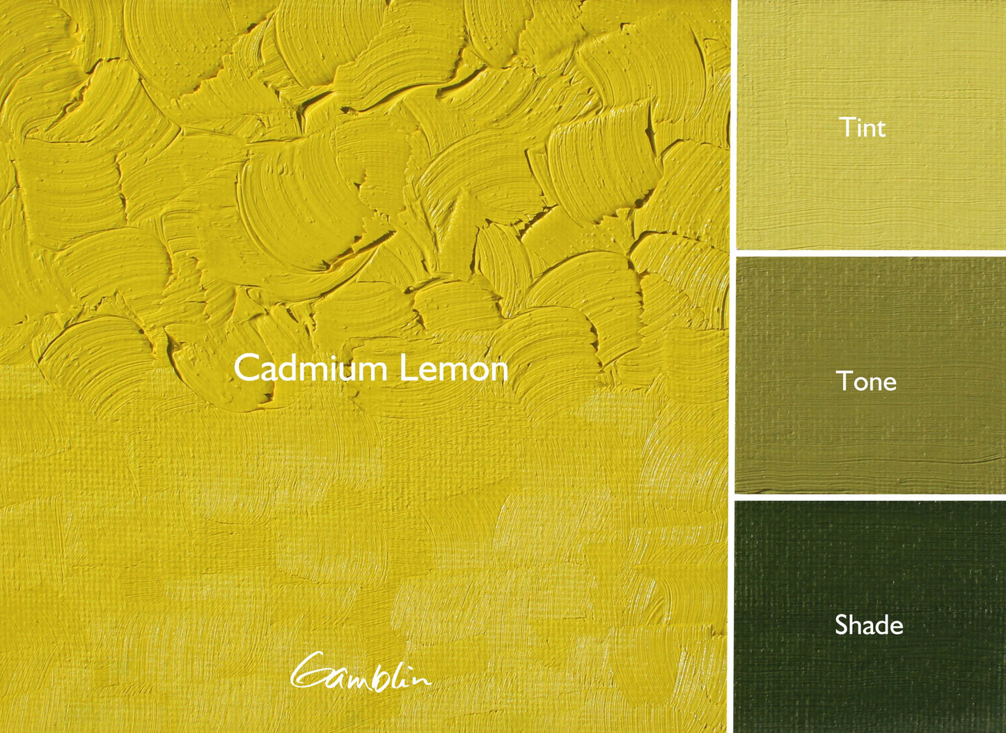 Gamblin 1980 Oil 37Ml Cadmium Lemon