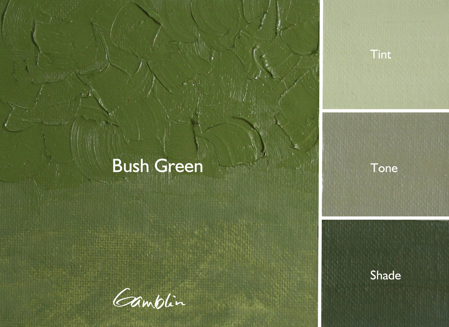 Gamblin Artist Oil Color 37ml Bush Green
