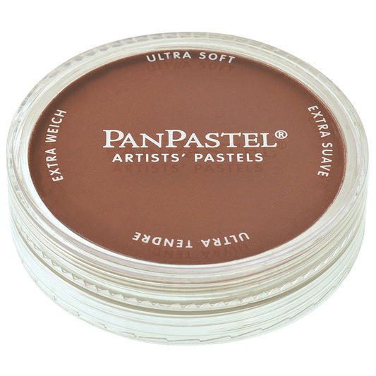 Panpastel 9ml Burnt Sienna Shade ⚠️