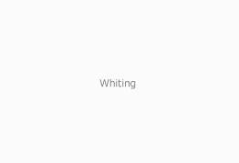 Gamblin Dry Pigment Whiting 4oz ⚠️