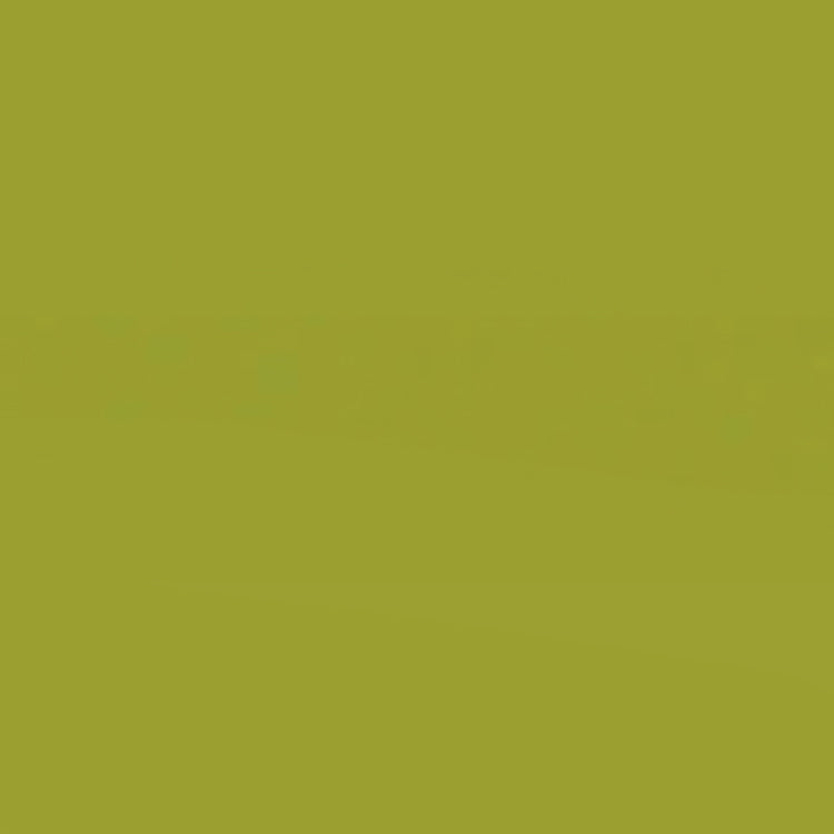 Holbein Acrylic Gouache 20ml Olive