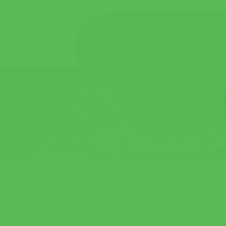 Holbein Acrylic Gouache 40ml Light Green