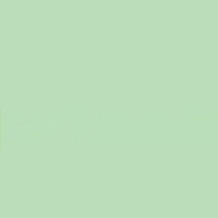 Holbein Acrylic Gouache 40ml Mint Green