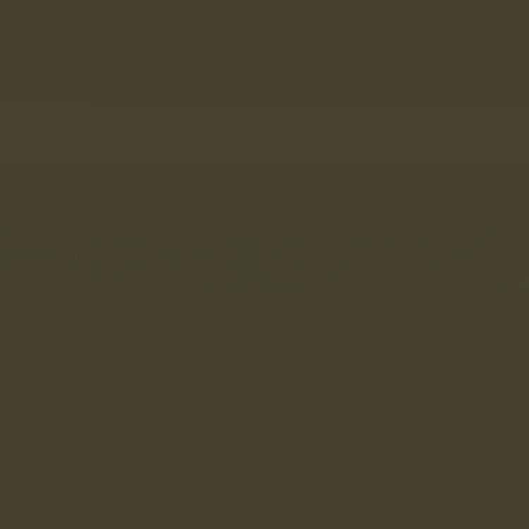 Holbein Acrylic Gouache 40ml Raw Umber