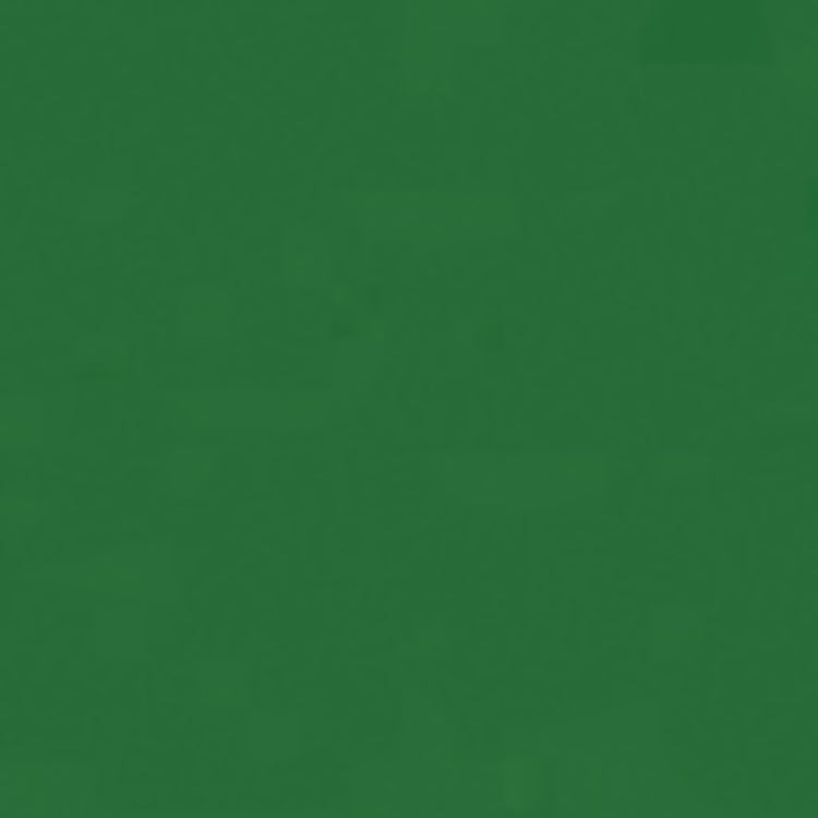 Holbein Artists Gouache 15ml Terre Verte