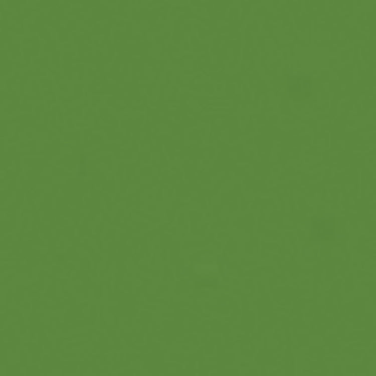 Holbein Artists Gouache 15ml Moss Green