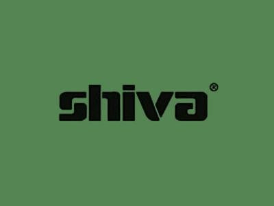 Shiva Paintstik Chromium Oxide Green