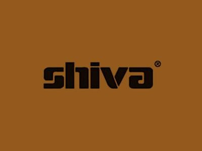Shiva Paintstik Asphaltum