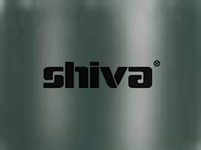 Shiva Paintstik Iridescent Charcoal