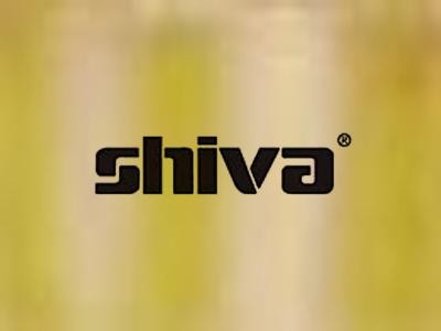 Shiva Paintstik Iridescent Gold