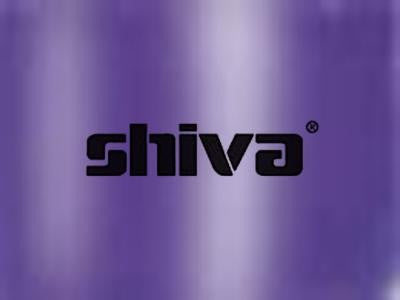 Shiva Paintstik Iridescent Purple