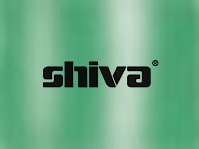 Shiva Paintstik Iridescent Green