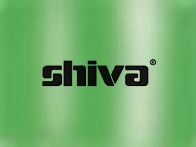 Shiva Paintstik Iridescent Leaf Green