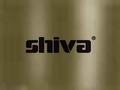 Shiva Paintstik Iridescent Brown