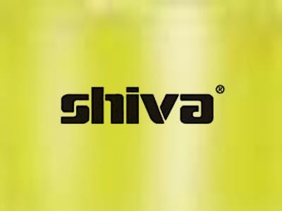 Shiva Paintstik Iridescent Light Gold