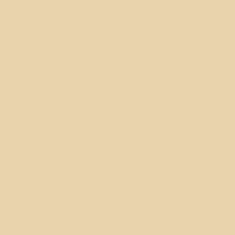 Liquitex Heavy Body Acrylic Unbleached Titanium 4.65oz