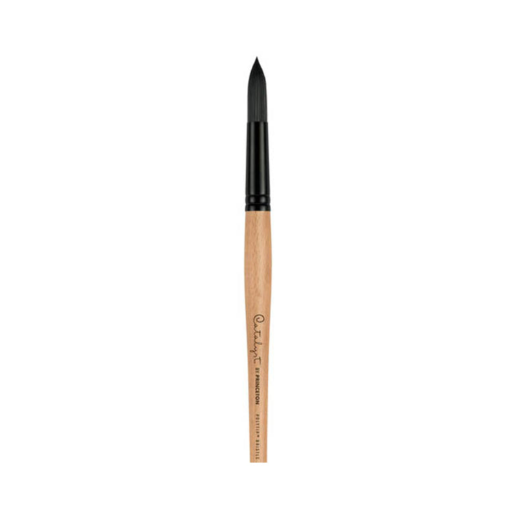 Princeton Catalyst Polytip Round 10 Long Handle
