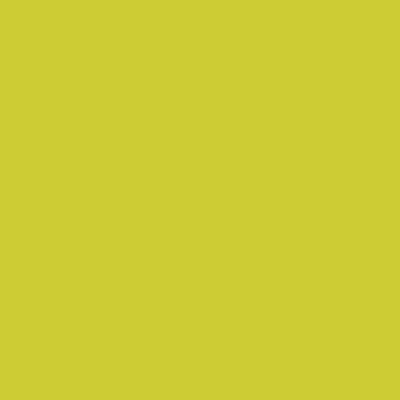 PC1005 Prismacolor Premier Colored Pencil Lime Peel