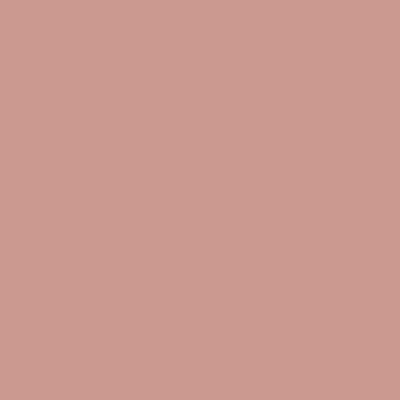 PC1080 Prismacolor Premier Colored Pencil Beige Sienna