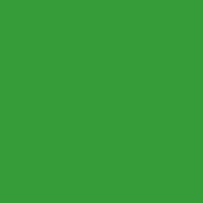 PC1096 Prismacolor Premier Colored Pencil Kelly Green