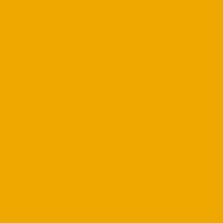 Woody Pencil Orange