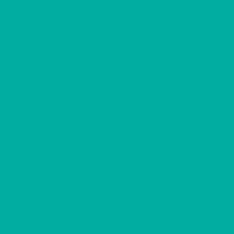 Woody Pencil Turquoise