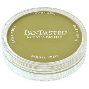 Panpastel 9ml Bright Yellow Green Shade ⚠️
