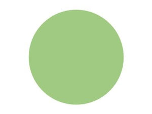 Pitt Art Pen Leaf Green