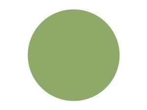 Pitt Art Pen Permanent Olive Green