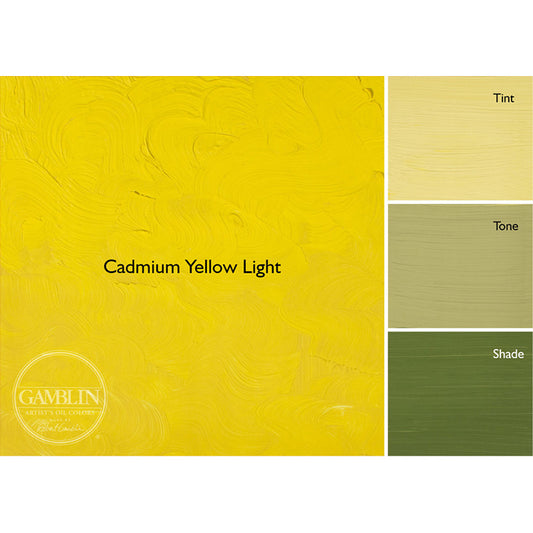 Gamblin 1980 Oil Color 150ml Cadmium Yellow Light ⚠️