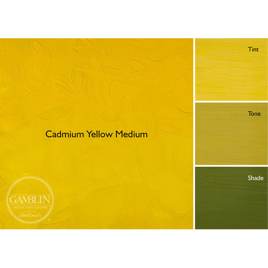 Gamblin 1980 Oil Color 150ml Cadmium Yellow Medium ⚠️