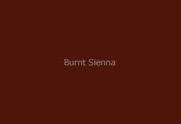 Gamblin Dry Pigment Burnt Sienna 4oz ⚠️