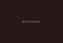 Gamblin Dry Pigment Burnt Umber 4oz ⚠️