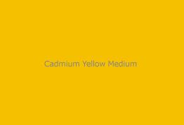 Gamblin Dry Pigment Cadmium Yellow Medium 4oz ⚠️