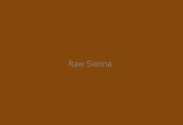Gamblin Dry Pigment Raw Sienna 4oz ⚠️