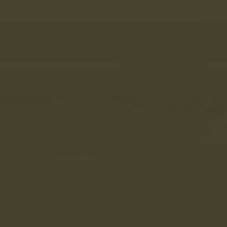 Holbein Acrylic Gouache 20ml Raw Umber
