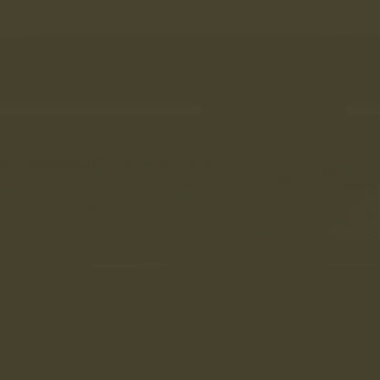 Holbein Acrylic Gouache 20ml Raw Umber