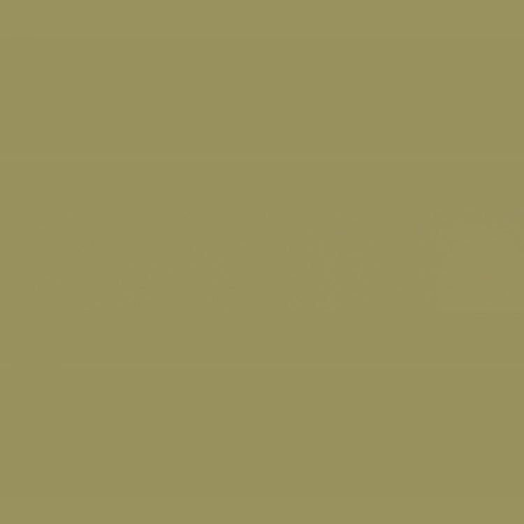 Holbein Acrylic Gouache 20ml Ash Yellow