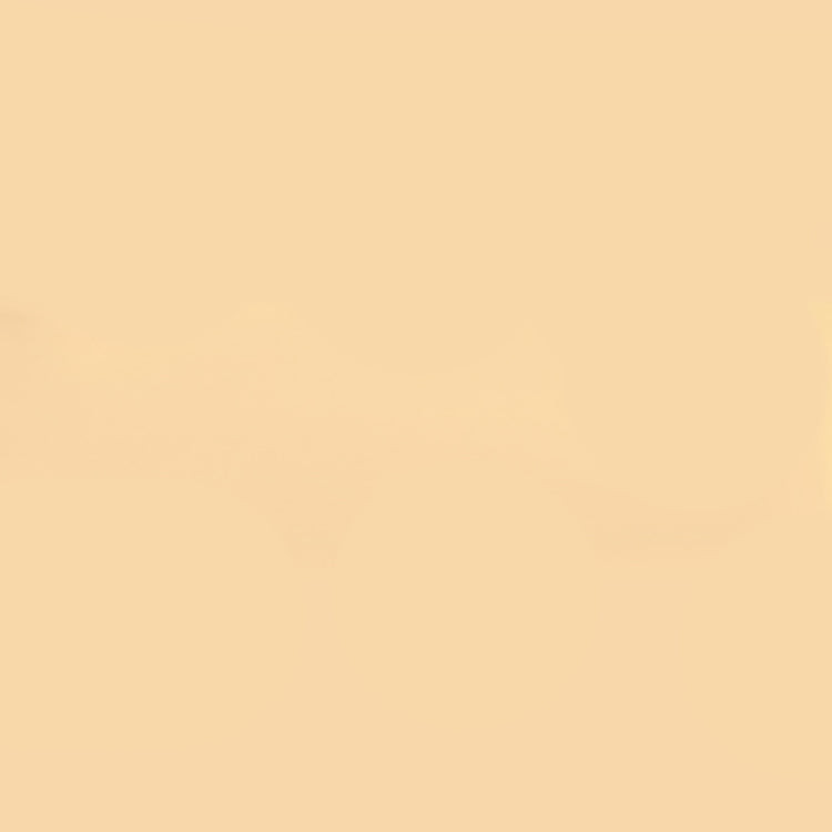 Holbein Acrylic Gouache 40ml Light Apricot
