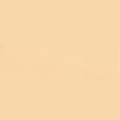 Holbein Acrylic Gouache 40ml Light Apricot