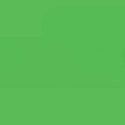 Holbein Acrylic Gouache 40ml Light Green