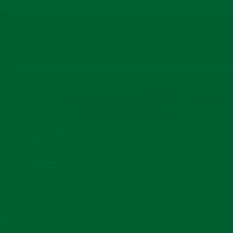Holbein Acrylic Gouache 40ml Deep Green