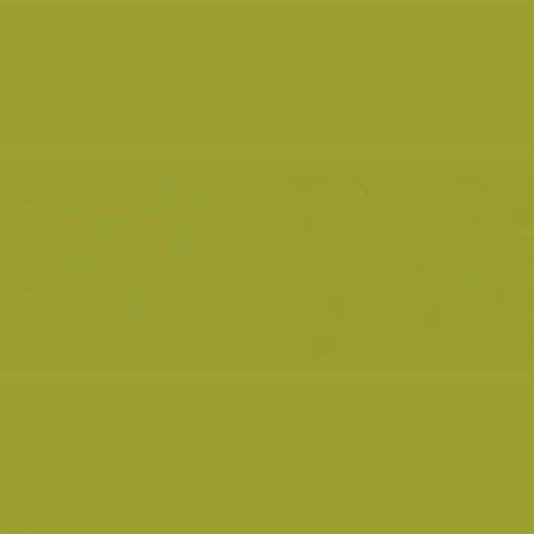 Holbein Acrylic Gouache 40ml Olive