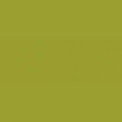 Holbein Acrylic Gouache 40ml Olive