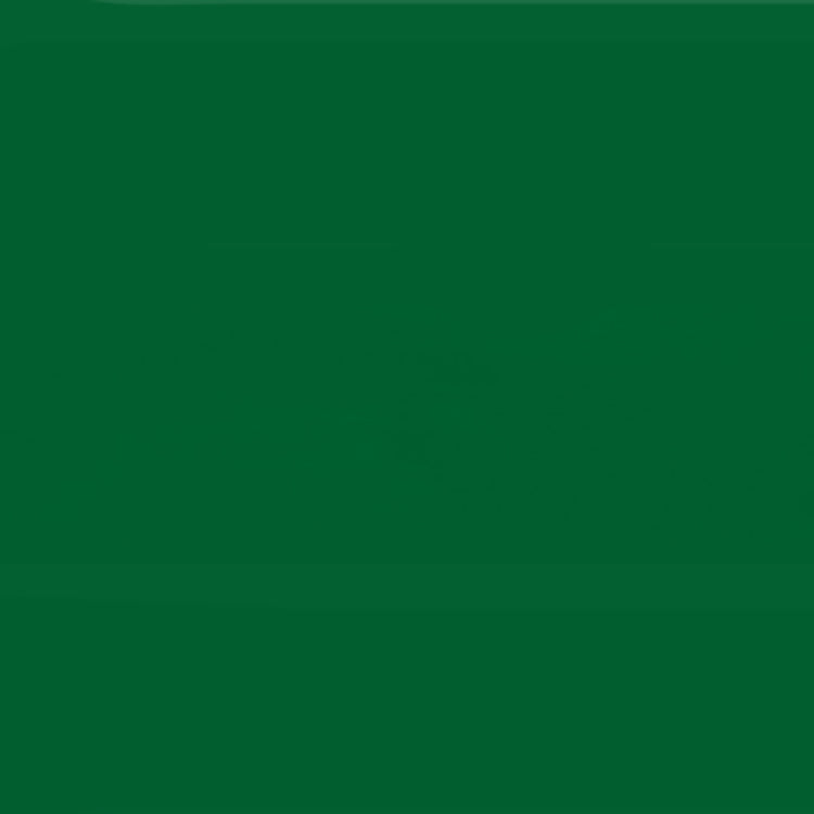 Holbein Acrylic Gouache 40ml Sap Green