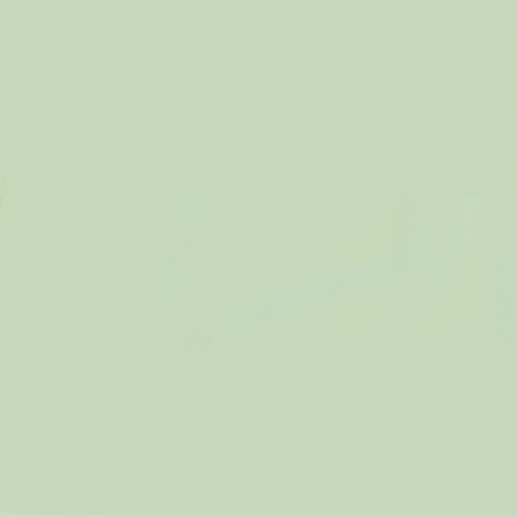 Holbein Acrylic Gouache 40ml Misty Green