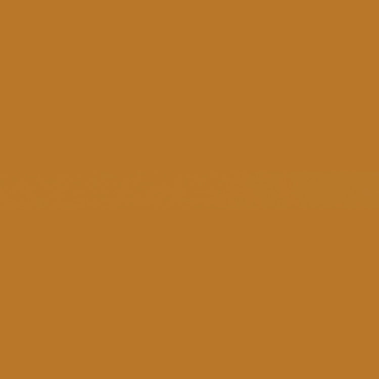 Holbein Acrylic Gouache 40ml Raw Sienna