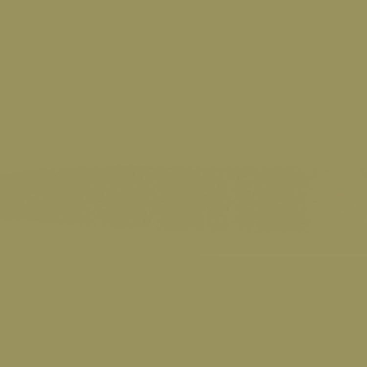 Holbein Acrylic Gouache 40ml Ash Yellow