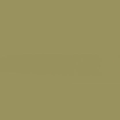 Holbein Acrylic Gouache 40ml Ash Yellow