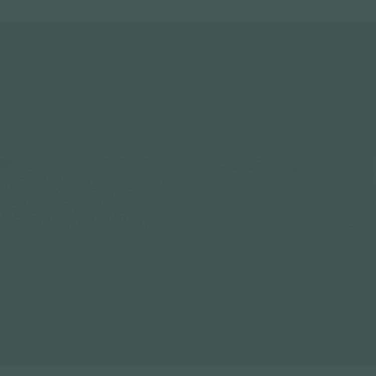 Holbein Acrylic Gouache 40ml Neutral Grey #4